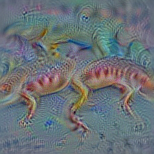 n01675722 banded gecko